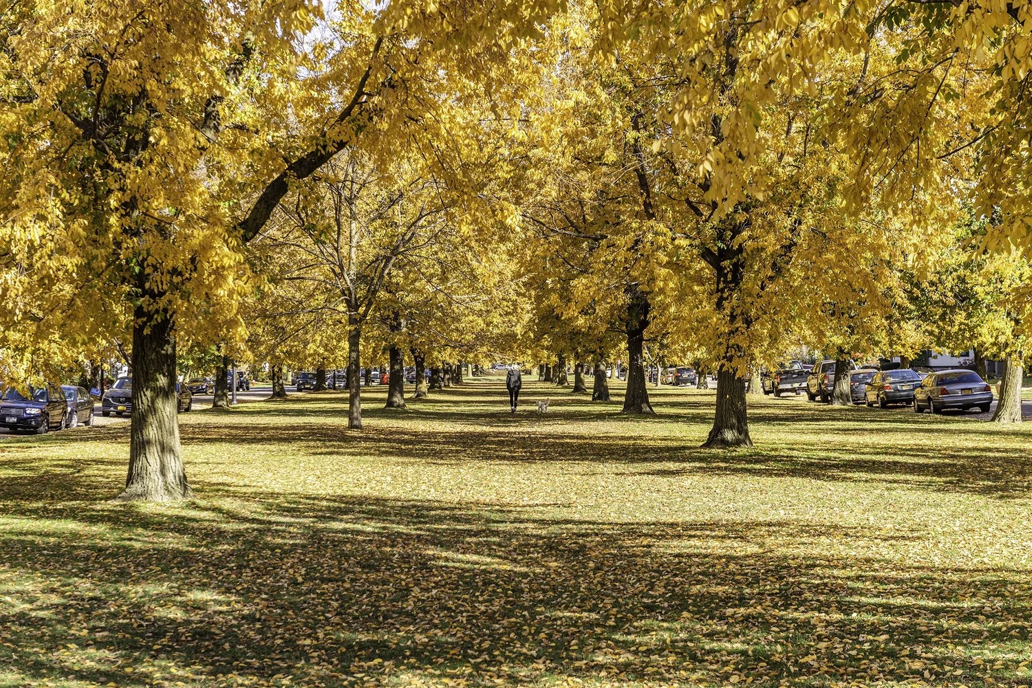 The Best Neighborhoods in Buffalo NY
