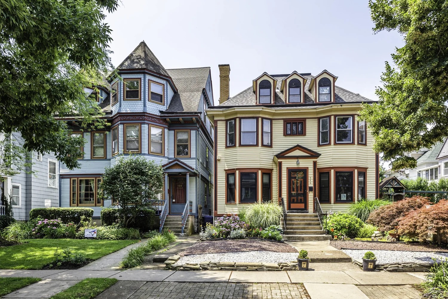 Elmwood Village, Buffalo NY