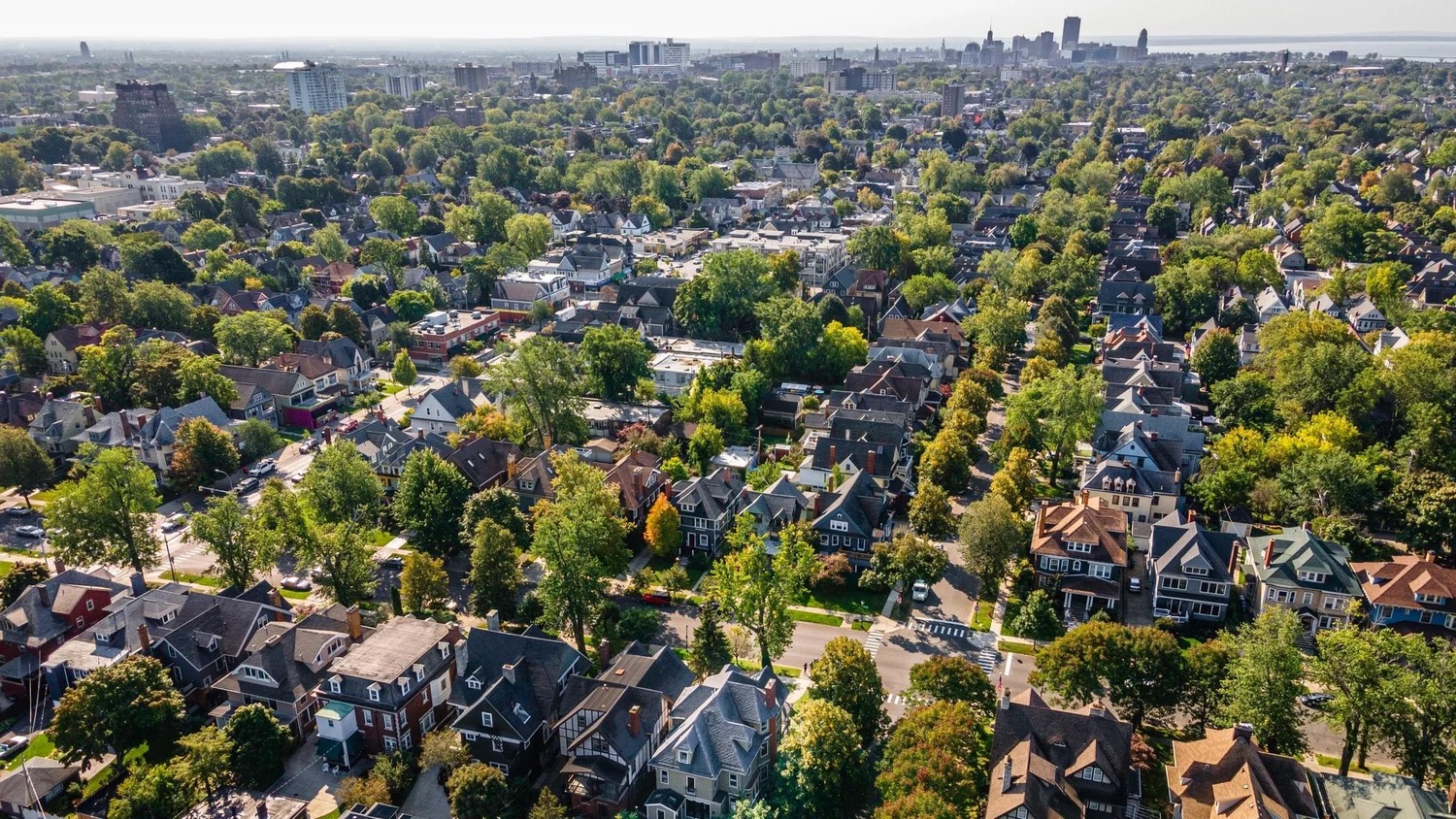 Elmwood Village, Buffalo NY