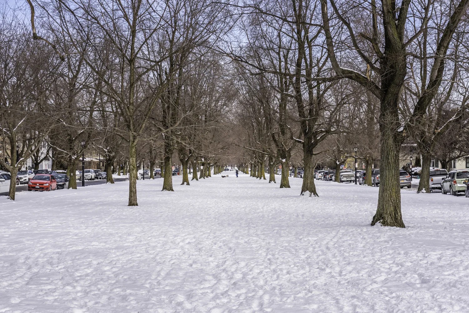 Buffalo's Olmsted Parkways - Winter Edition