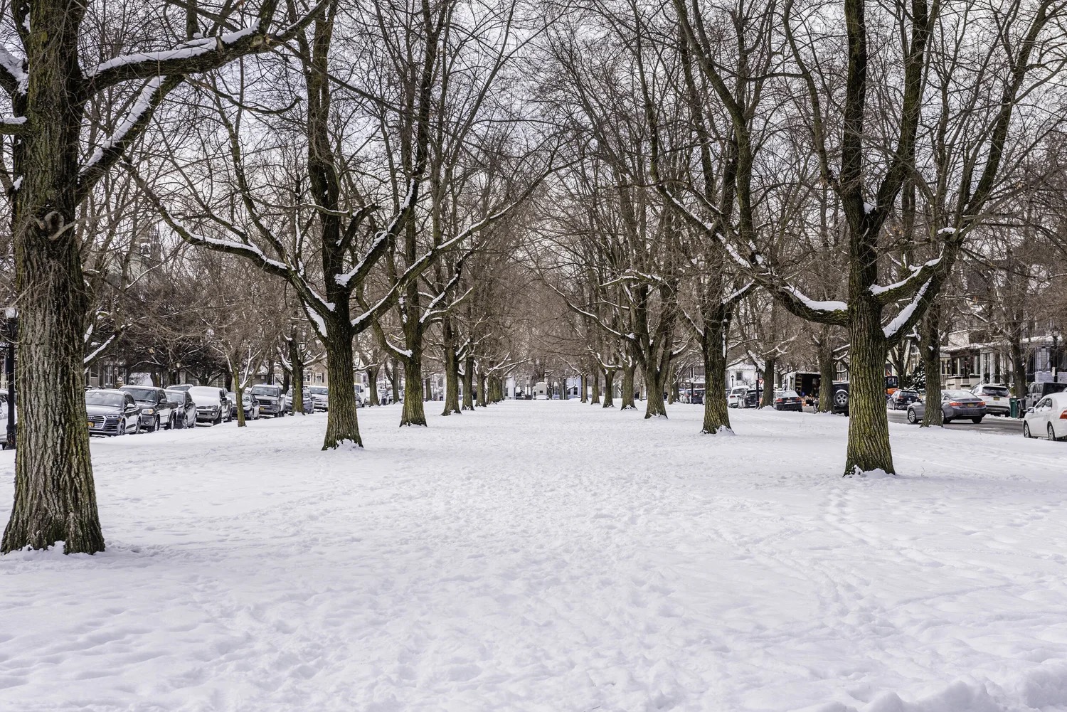 Buffalo's Olmsted Parkways - Winter Edition