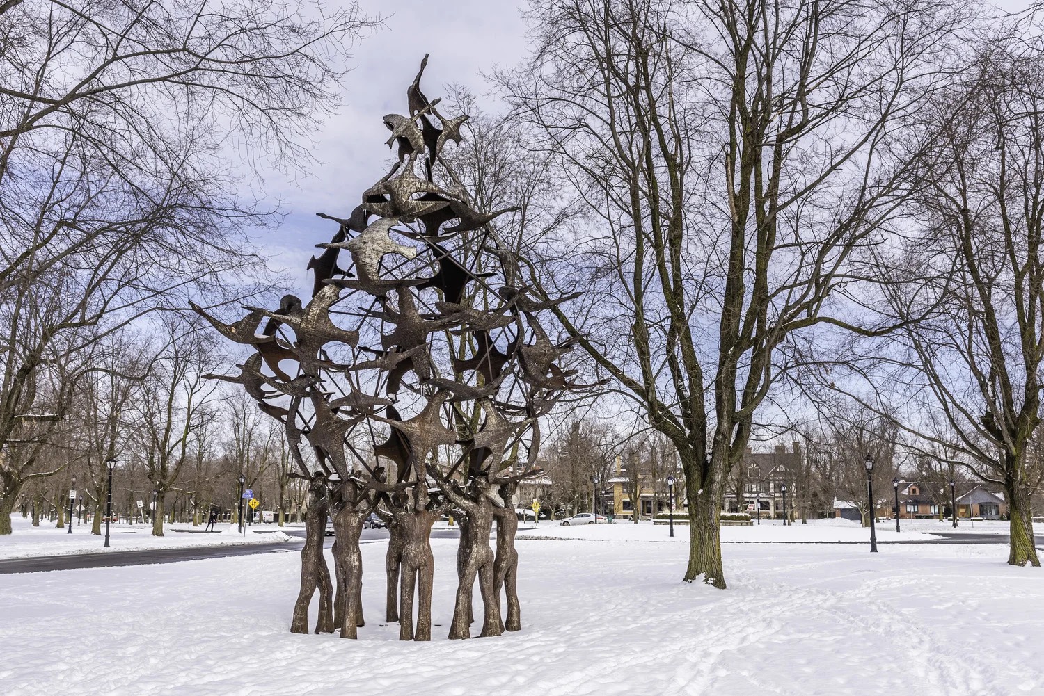 Buffalo's Olmsted Parkways - Winter Edition