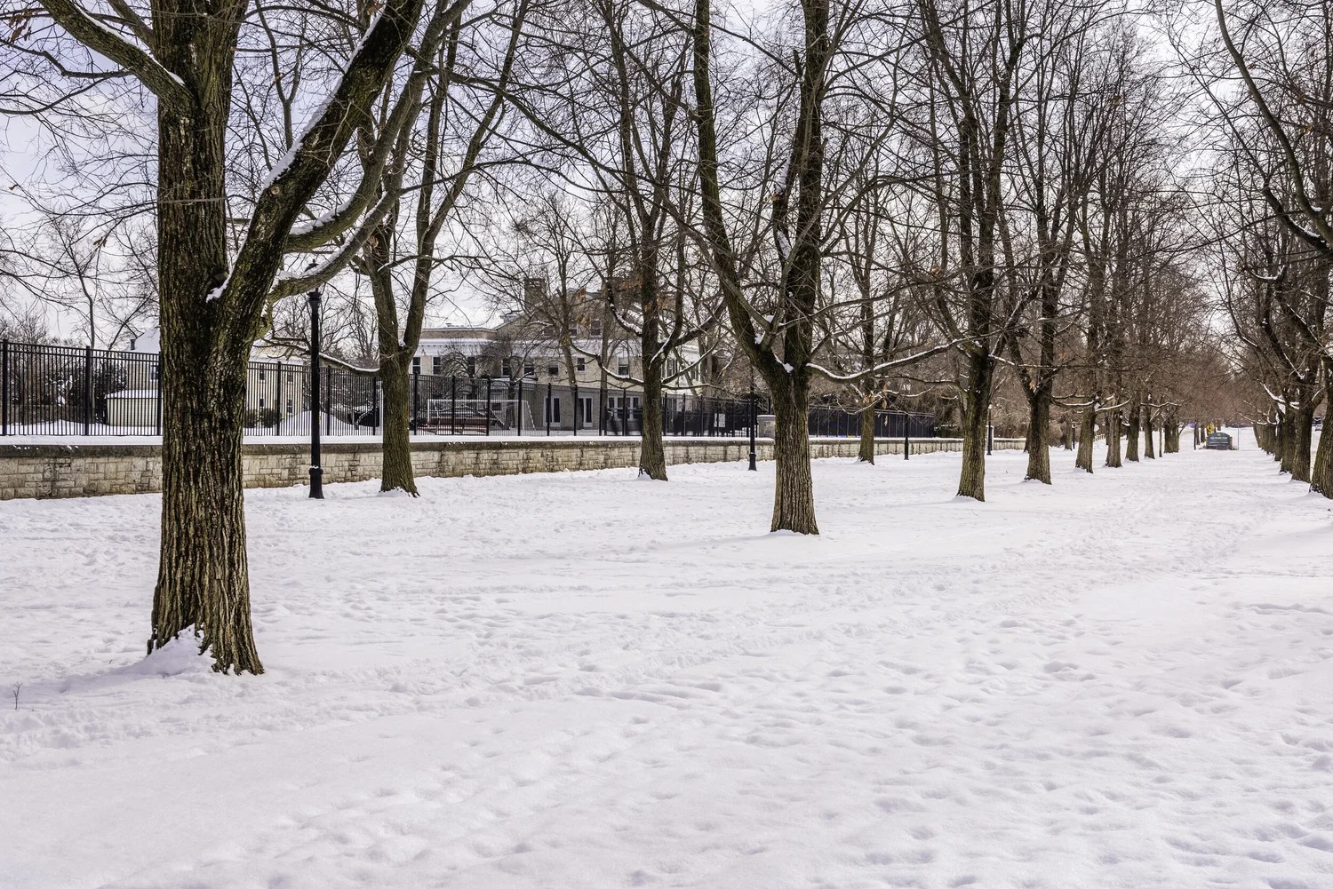 Buffalo's Olmsted Parkways - Winter Edition