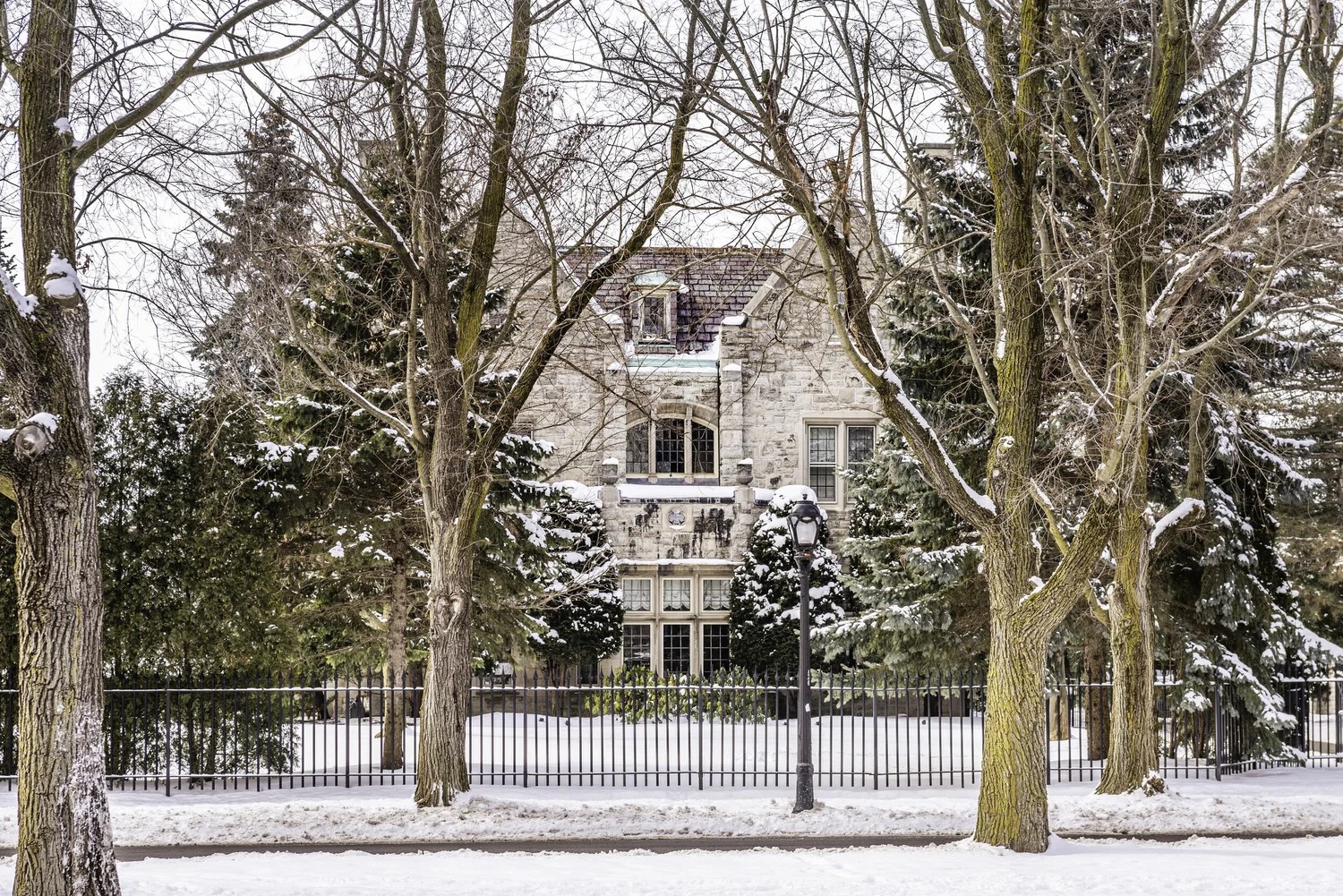 Buffalo's Olmsted Parkways - Winter Edition