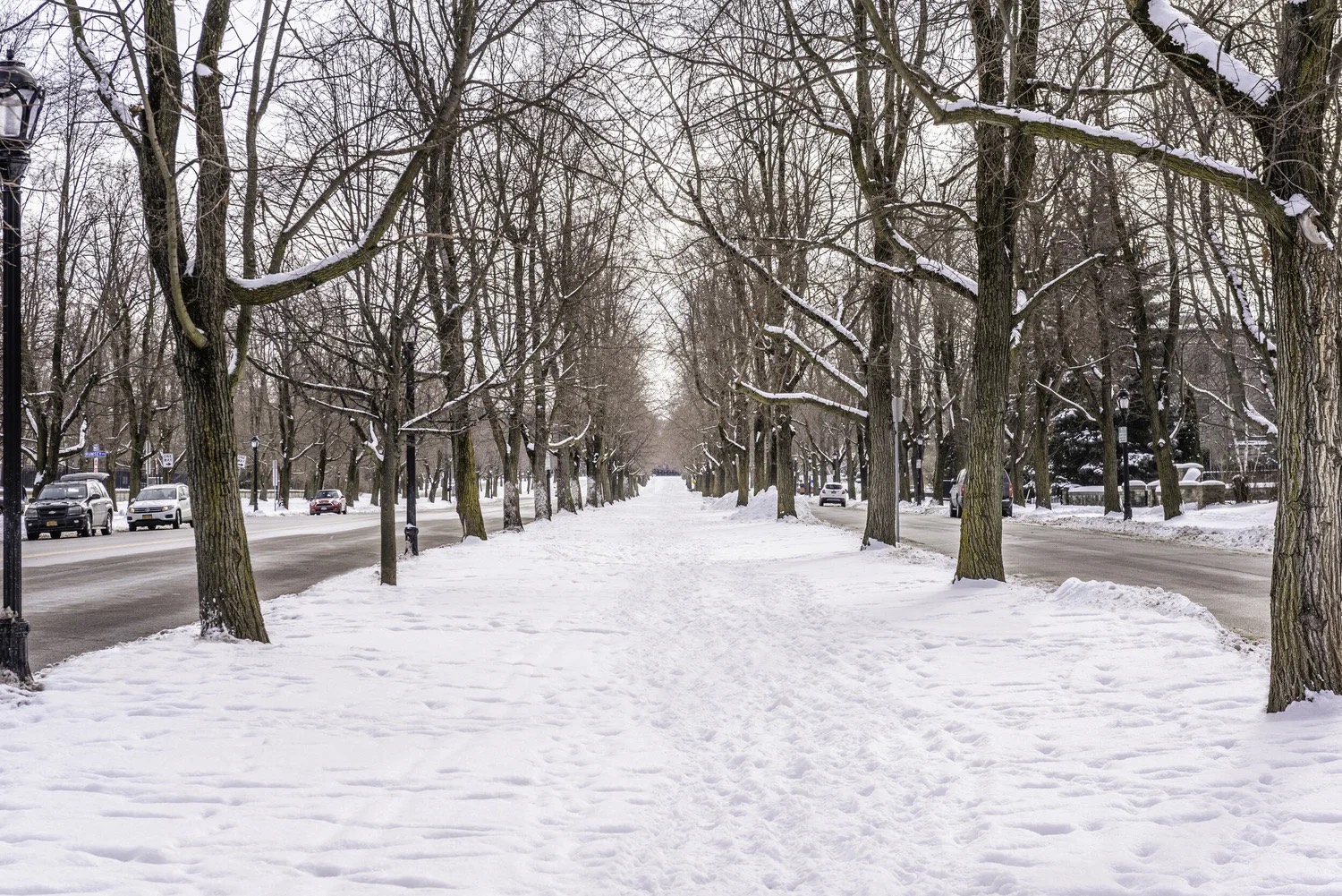 Buffalo's Olmsted Parkways - Winter Edition