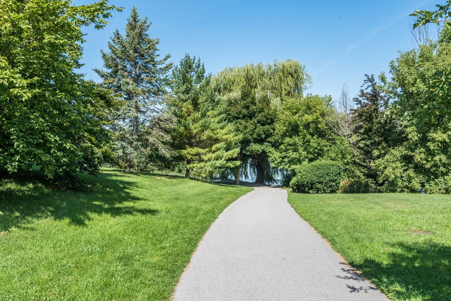 Top 12 Reasons to Move to Buffalo